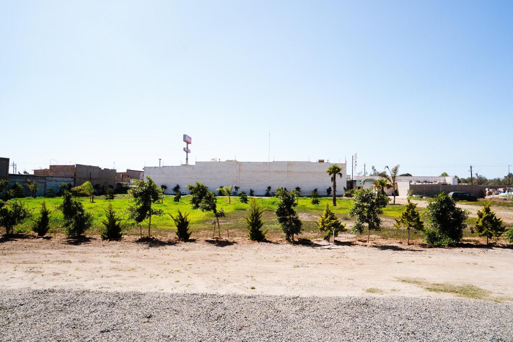 Hotel & Rv Park Rosa Evelyn San Quintin Esterno foto